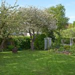 Lush green yard with mature garden and trees cared for by a tree company in West Creek