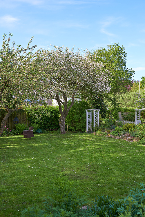 Lush green yard with mature garden and trees cared for by a tree company in West Creek